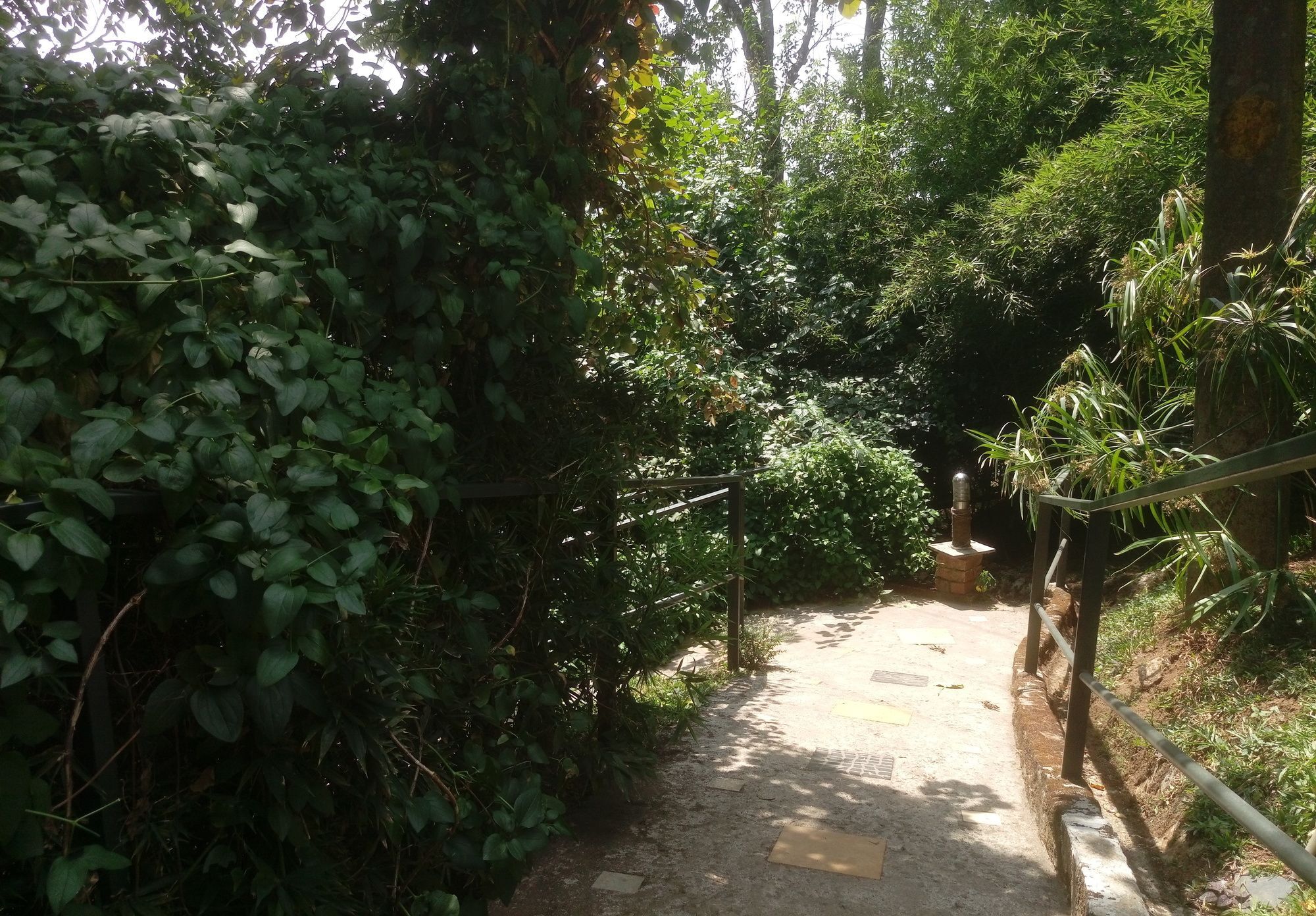 מלון Chinnakanal Spicetree Munnar מראה חיצוני תמונה